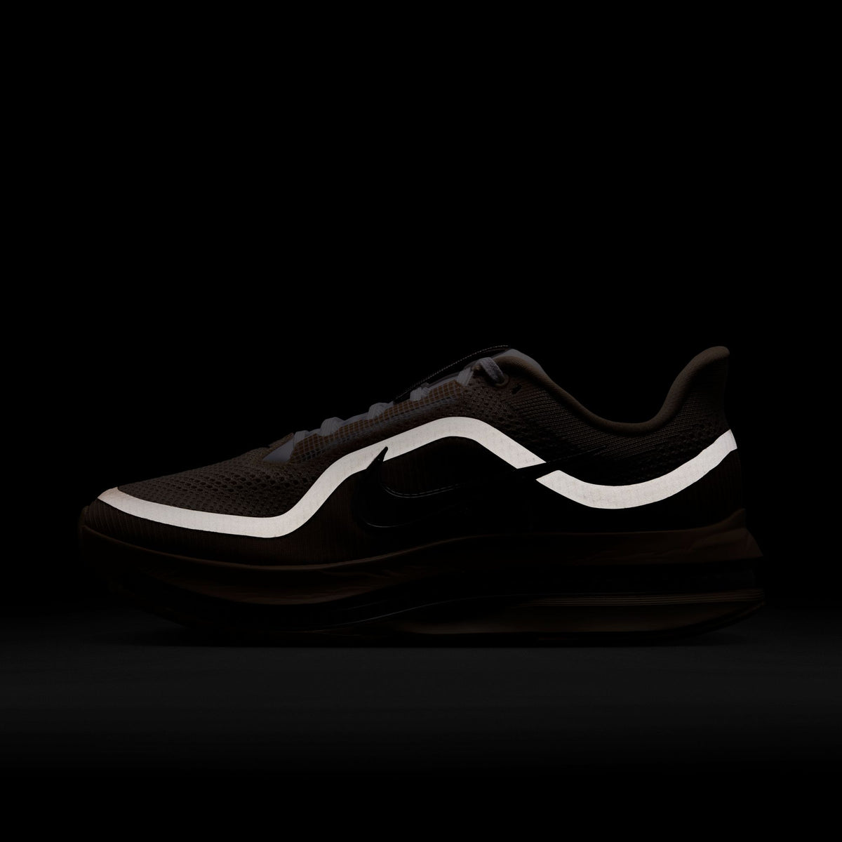 Nike Pegasus Premium SP - Mushroom/Metallic Silver IH4369-200