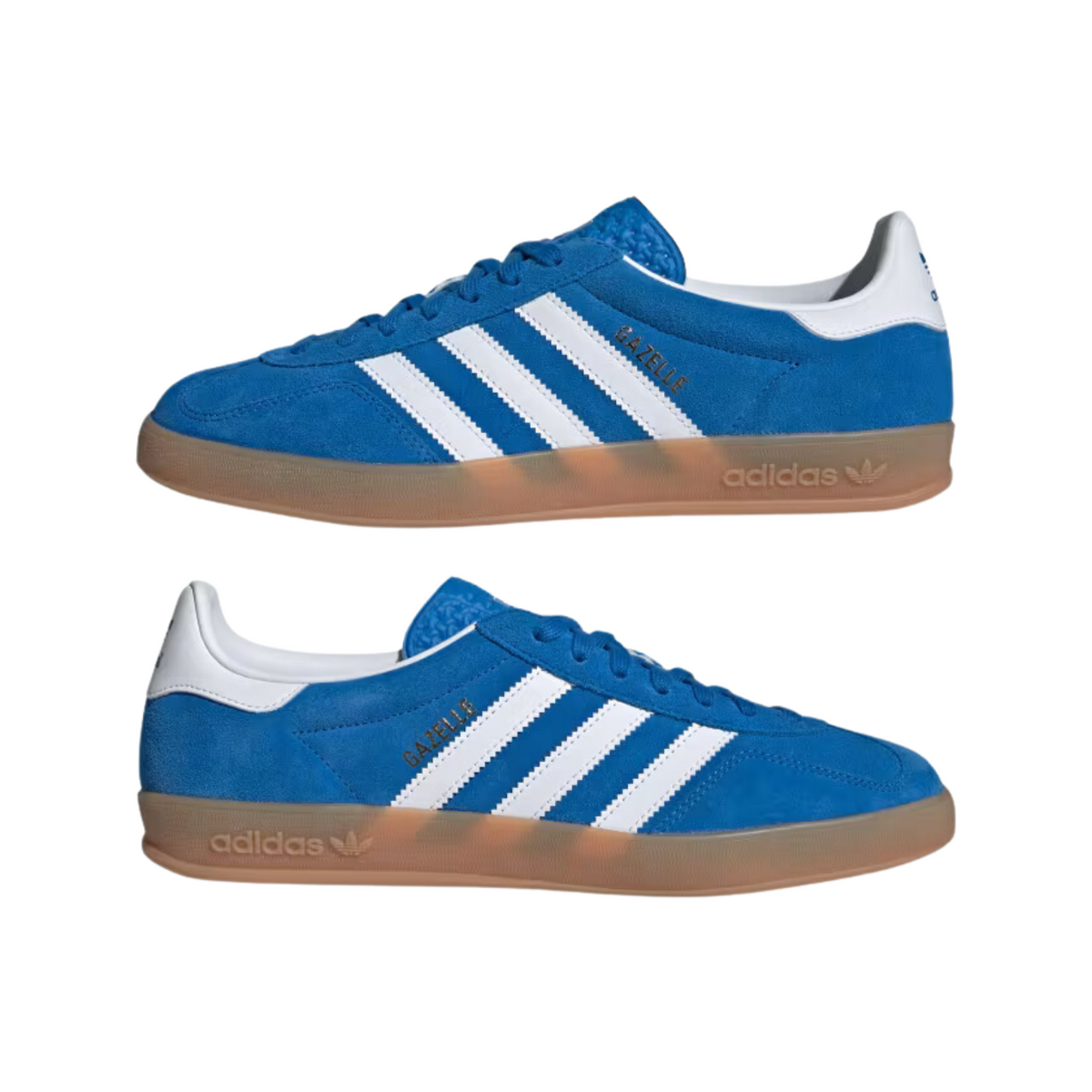Adidas Gazelle Indoor Blue Bird/Cloud White/Gum