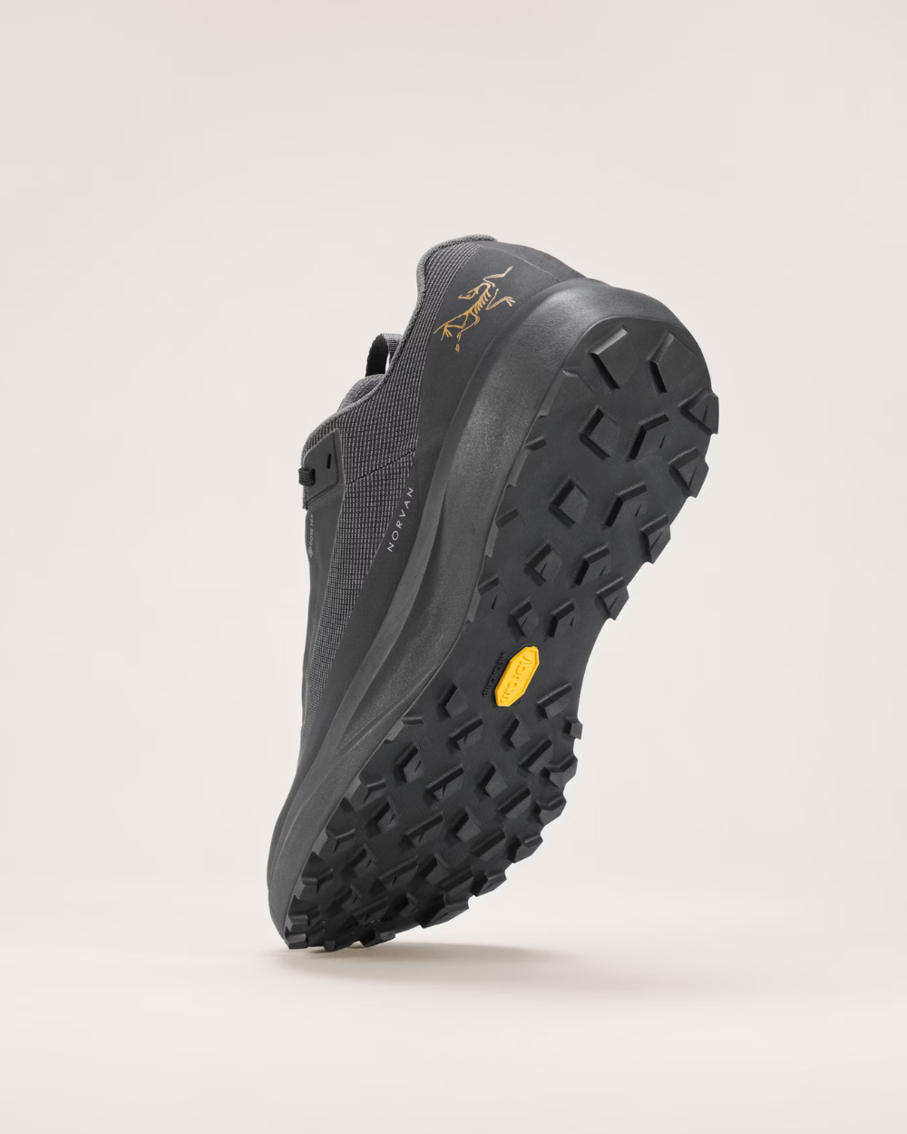 Arc'Teryx Norvan LD 4 GTX Black/Black