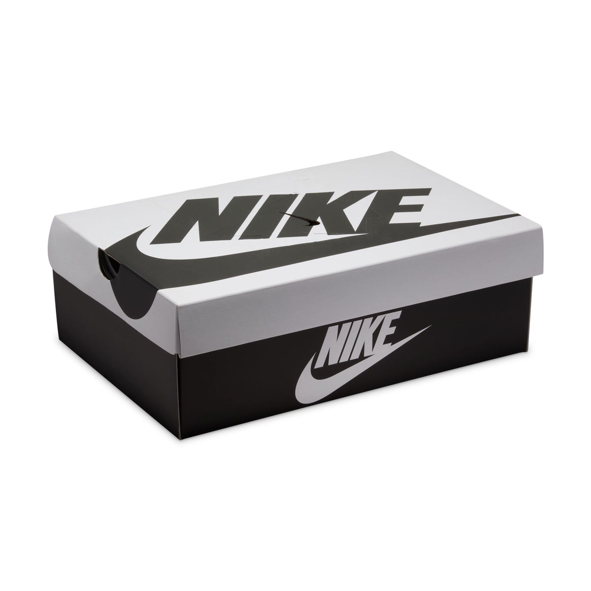 Nike Dunk Low Retro SE - Viotech/Dusty Olive/Pale Ivory IB2990-500