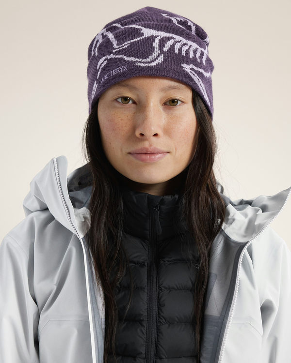 Arc'Teryx Bird Head Toque - Moondrop/Mallow I Momentum - Momentum
