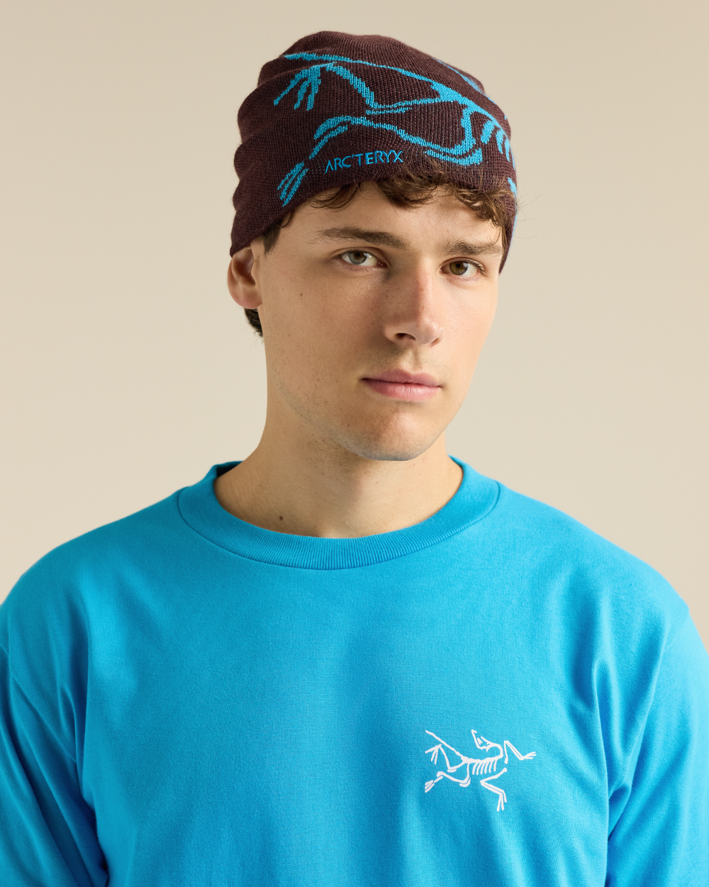 Arc'Teryx Bird Head Toque - Ultima/Aquaculture 