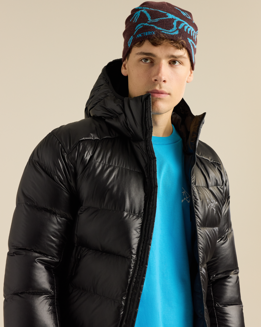 Arc'Teryx Bird Head Toque - Ultima/Aquaculture 