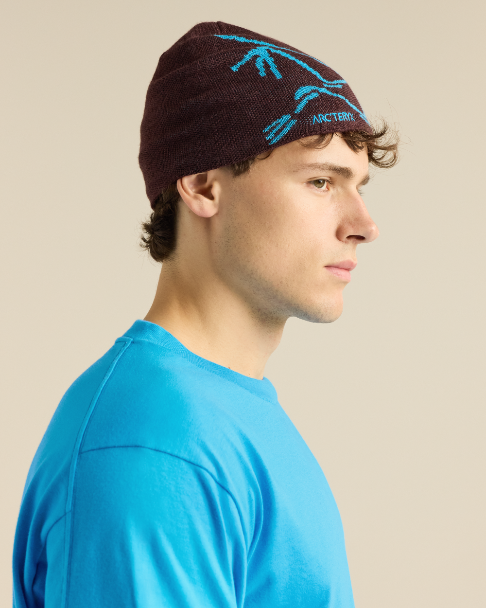 Arc'Teryx Bird Head Toque - Ultima/Aquaculture 