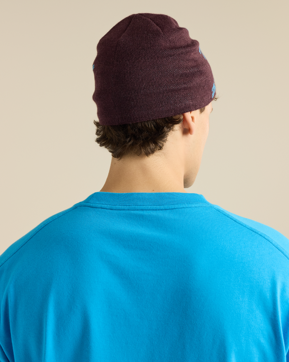 Arc'Teryx Bird Head Toque - Ultima/Aquaculture 