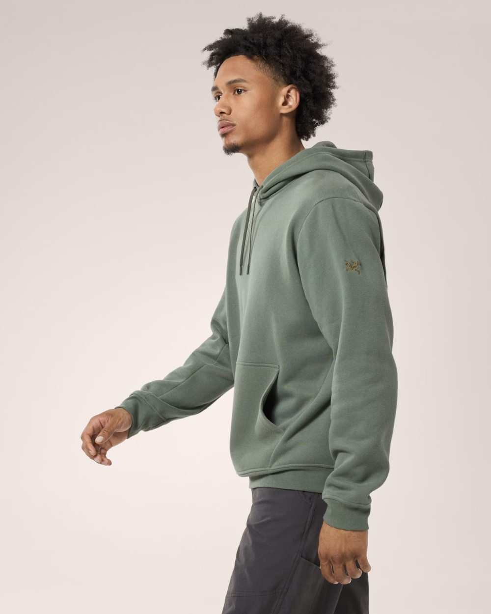 Arc'Teryx Emblem Fleece Hoody Forage I Momentum - Momentum Clothing Arc'Teryx Emblem Fleece Hoody Forage I Momentum - Momentum Clothing