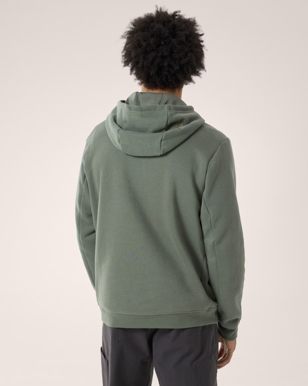 Arc'Teryx Emblem Fleece Hoody Forage I Momentum - Momentum Clothing