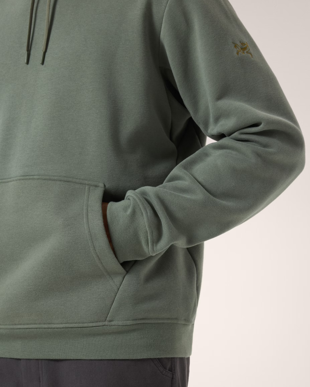 Arc'Teryx Emblem Fleece Hoody Forage