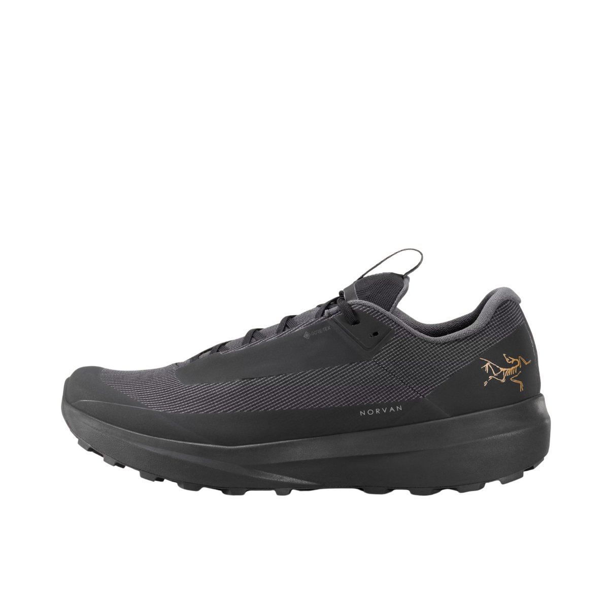 Arc'Teryx Norvan LD 4 GTX Black/Black