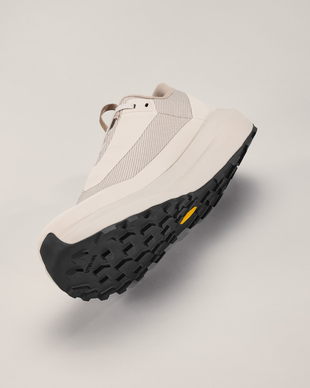 Arc'Teryx Norvan LD 4 GTX Rune/Rune