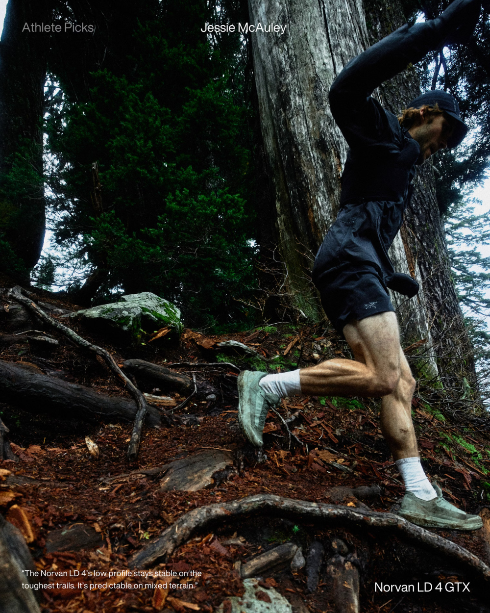 Arc'Teryx Norvan LD 4 GTX Rune/Rune