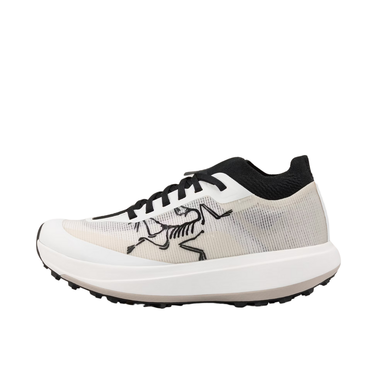 Arc'Teryx Sylan Pro Arctic Silk/Arctic Silk