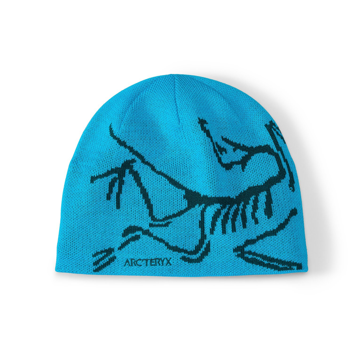 BIRD HEAD TOQUE - BLUE TETRA/PYTHEAS I ARC'TERYX - Momentum Clothing