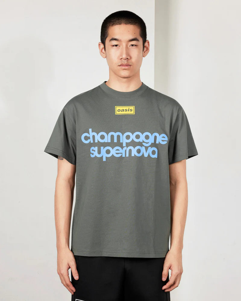 Pleasures Nordique T-Shirt Faded Black