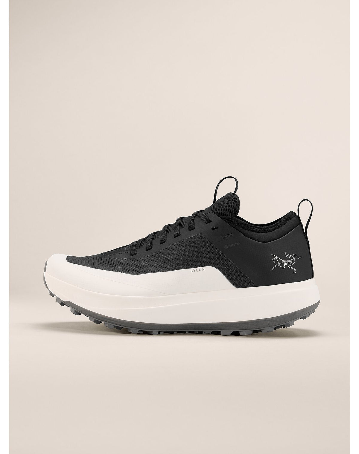 Arc'teryx Sylan GTX Black/Arctic Silk