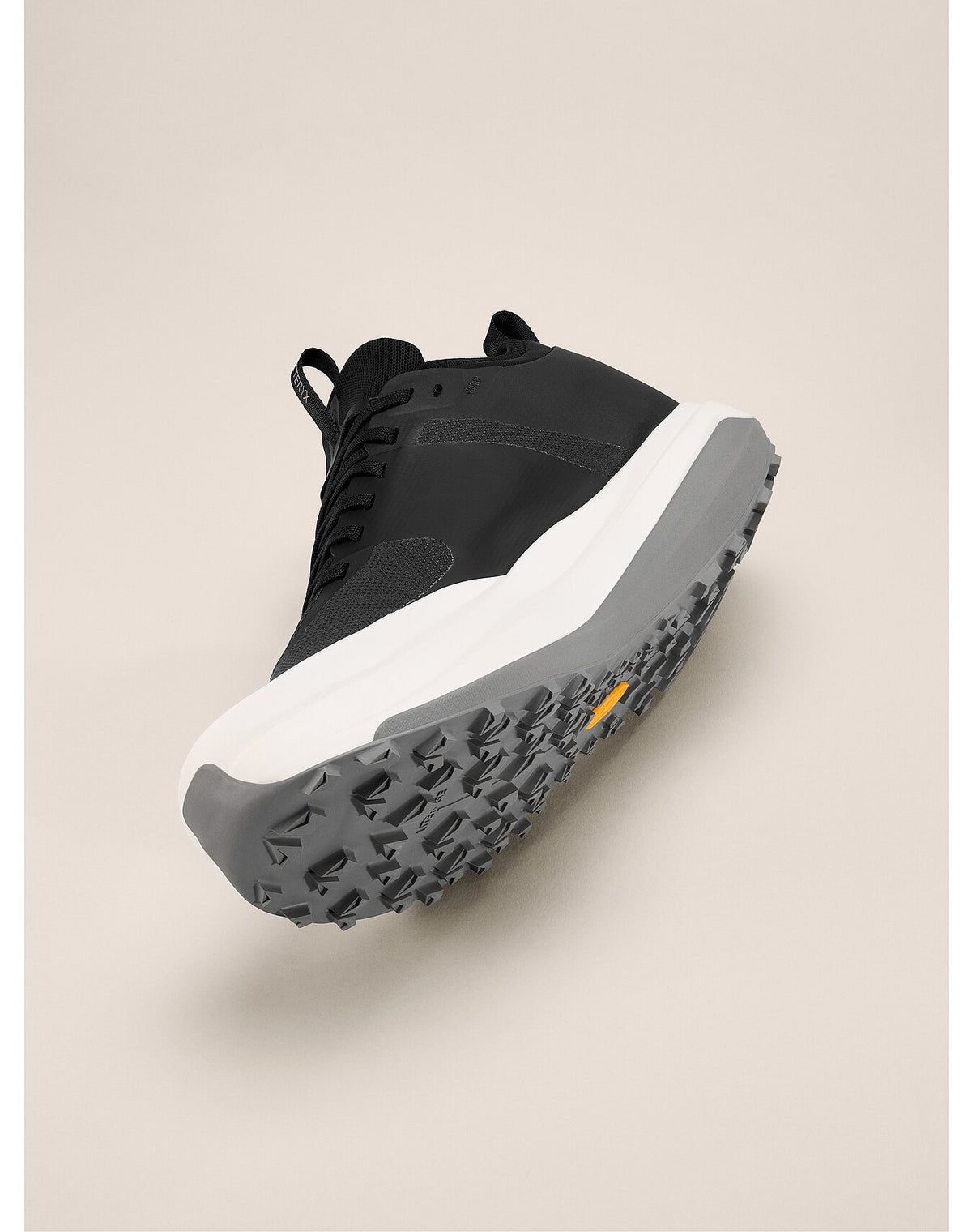 Arc'teryx Sylan GTX Black/Arctic Silk