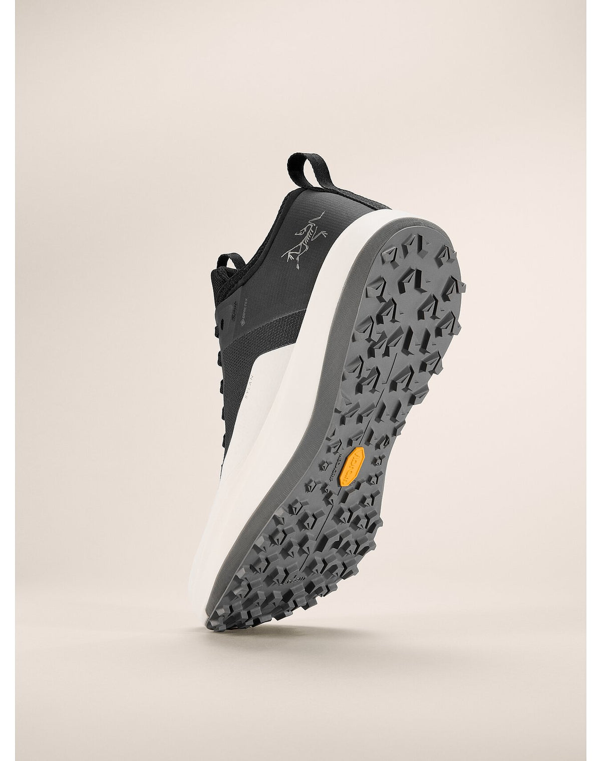 Arc'teryx Sylan GTX Black/Arctic Silk