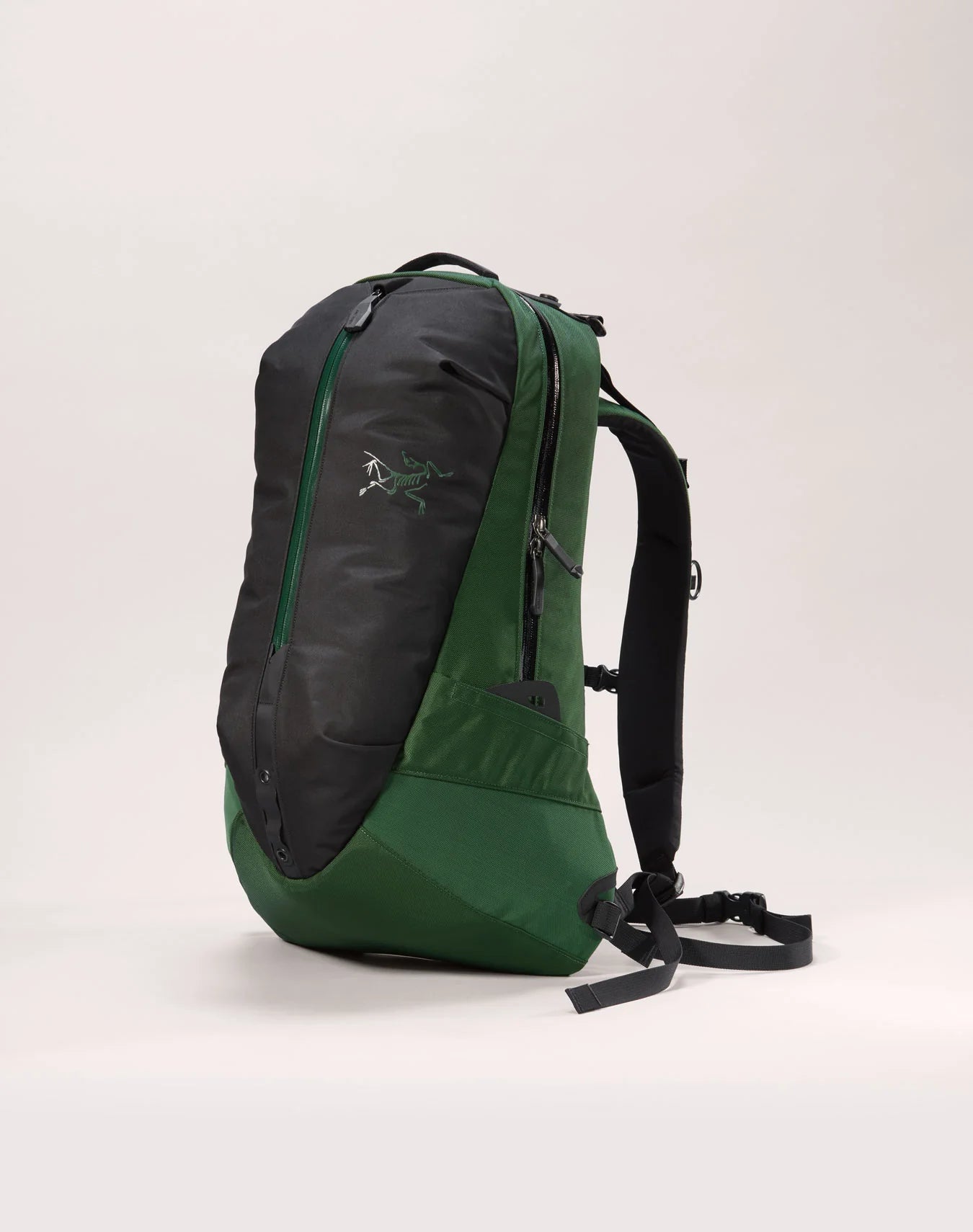 Arc'Teryx Arro 22 Backpack - Eden I Momentum - Momentum Clothing