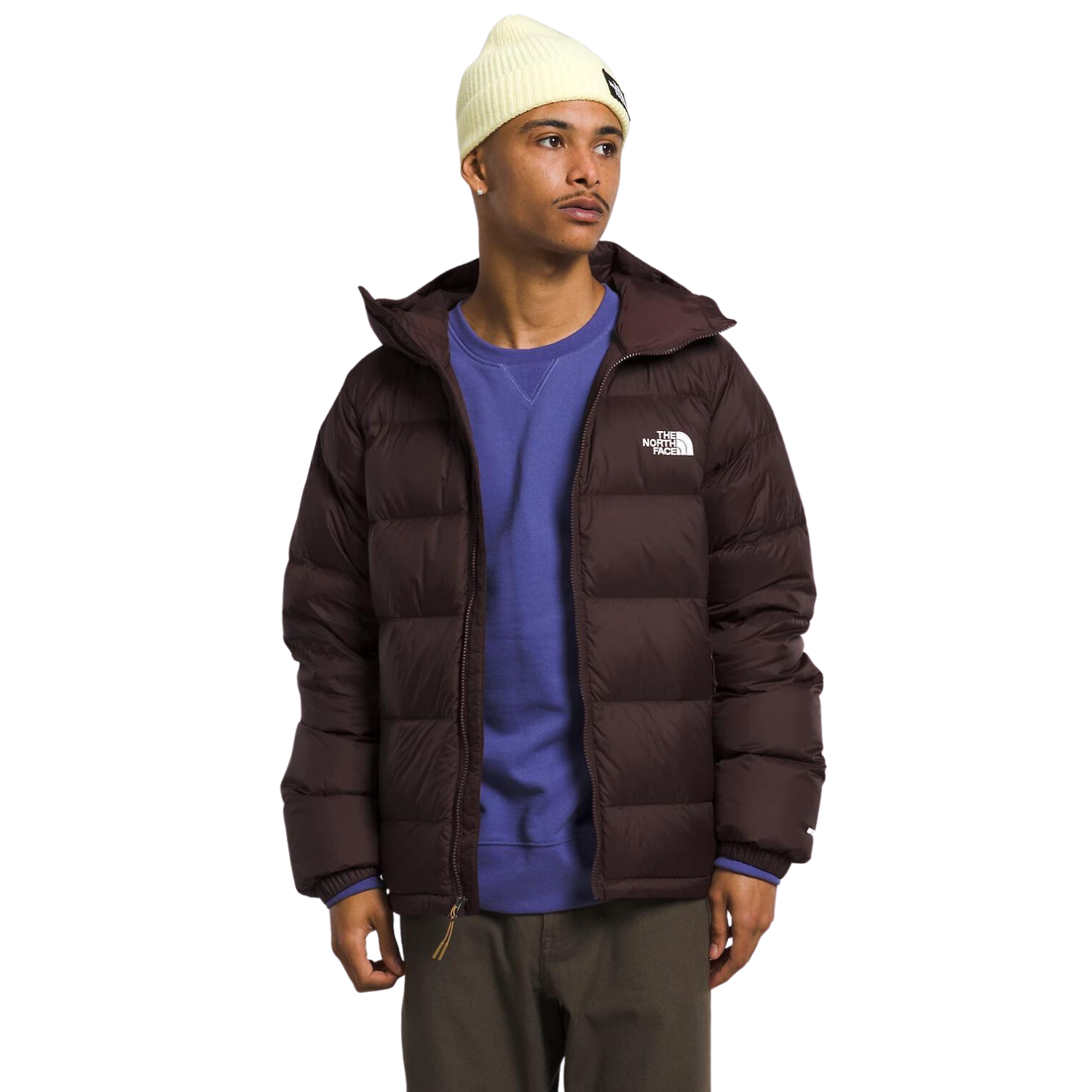 The North Face -Summit Series 700 Down