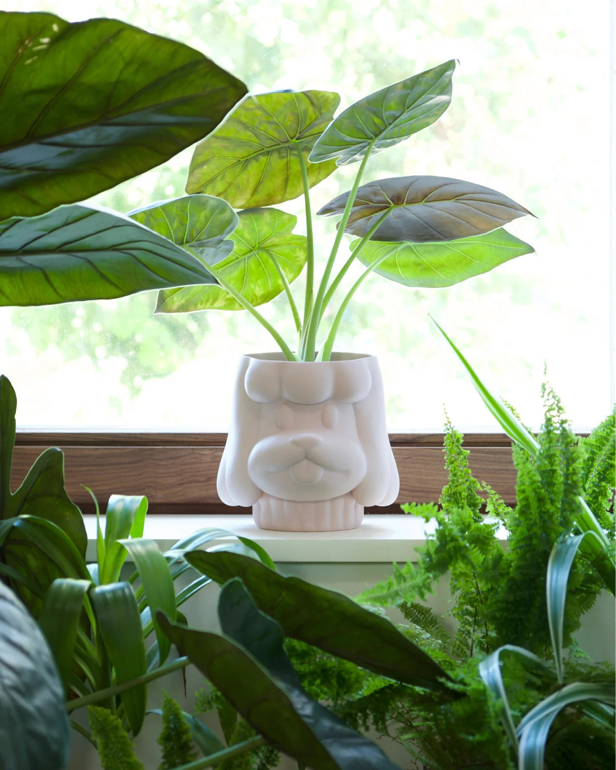 Home Studyo Planter 'IDA' White