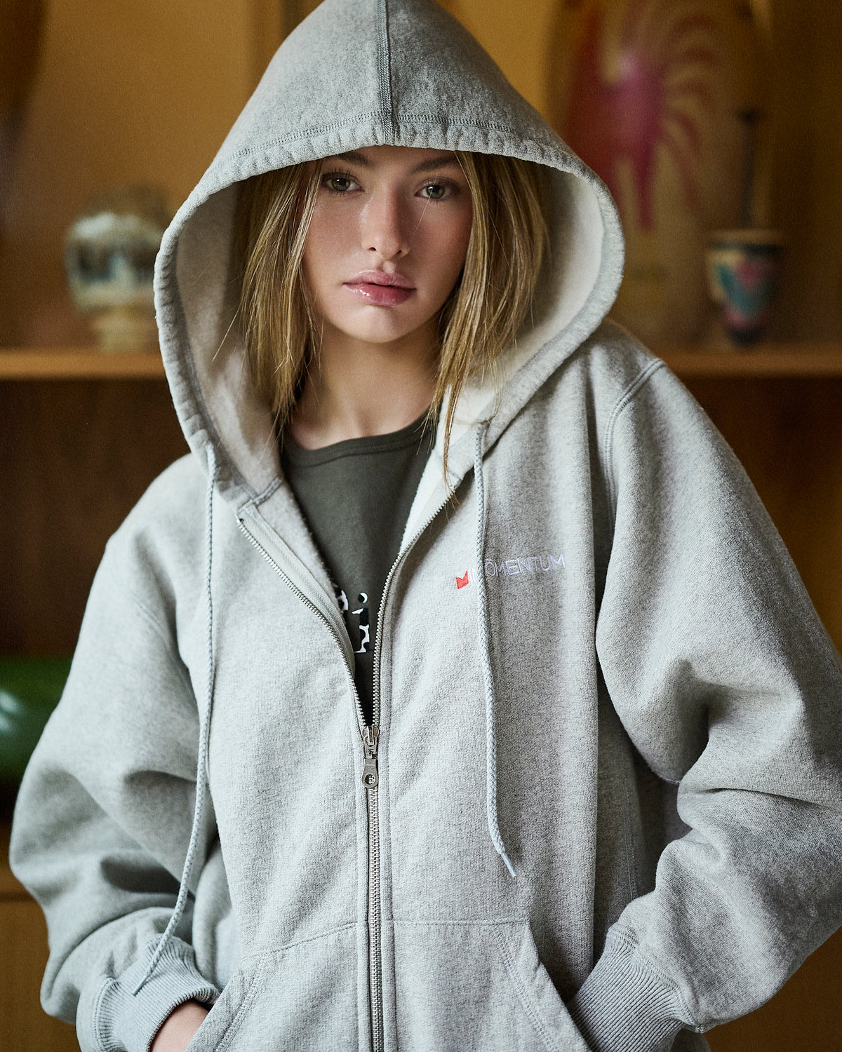 https://momentumshop.ca/search?q=momentum+basic