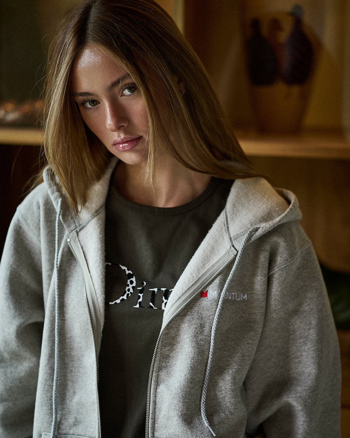 https://momentumshop.ca/search?q=momentum+basic