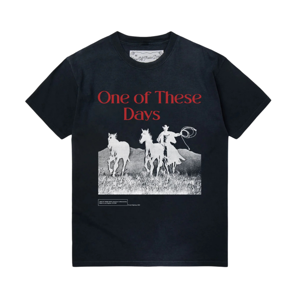 One of These Days Across the Planes T-Shirt Sun Faded Black