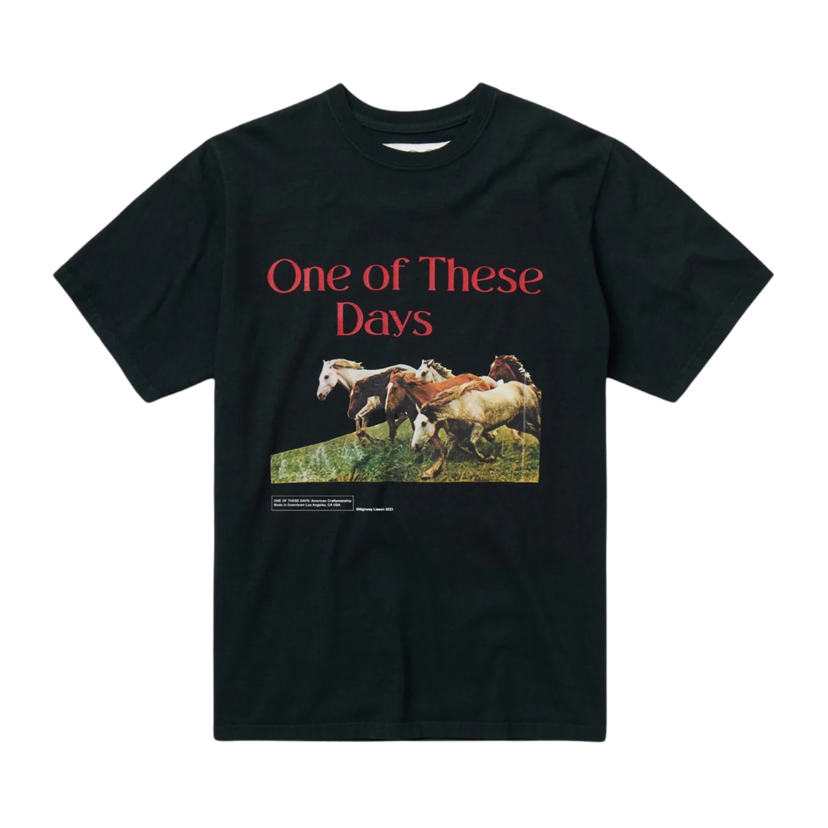 One of These Days Wild Horses T-Shirt Washed Black