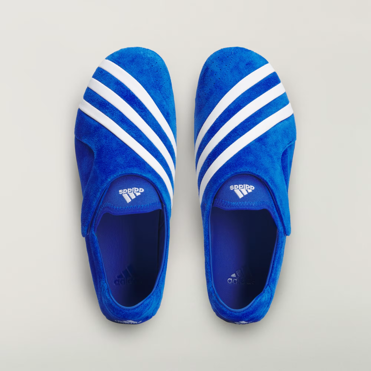 Pharrell Williams Vario Flat Earther Blue/White