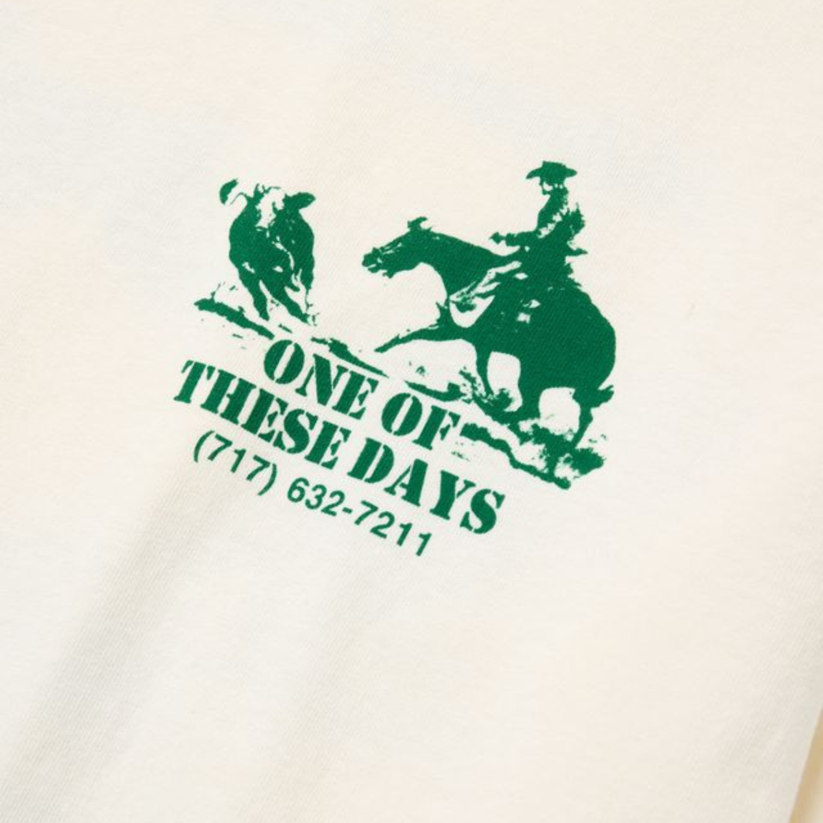 One of These Days Round Up T-Shirt Bone