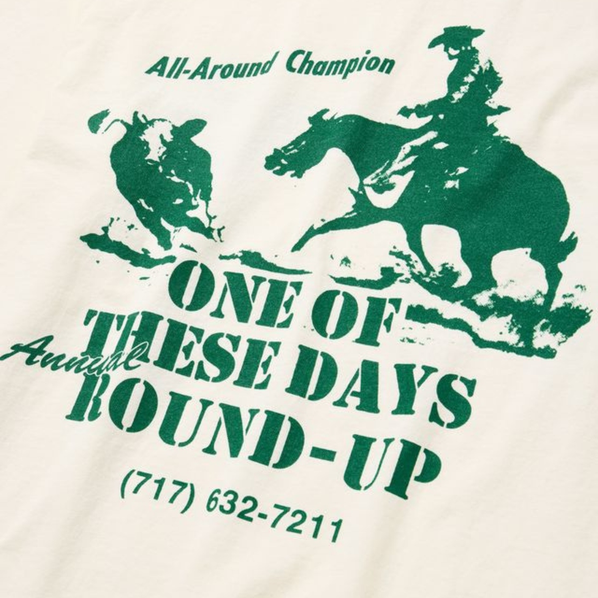 One of These Days Round Up T-Shirt Bone