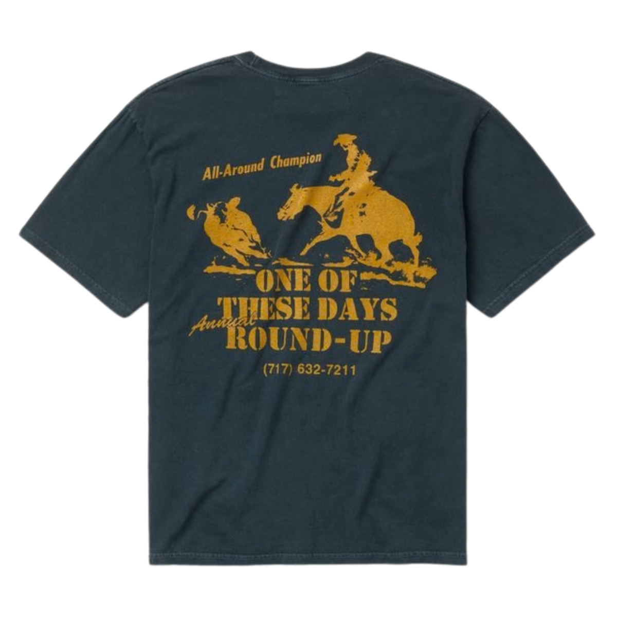 One of These Days Round Up T-Shirt Washed Black