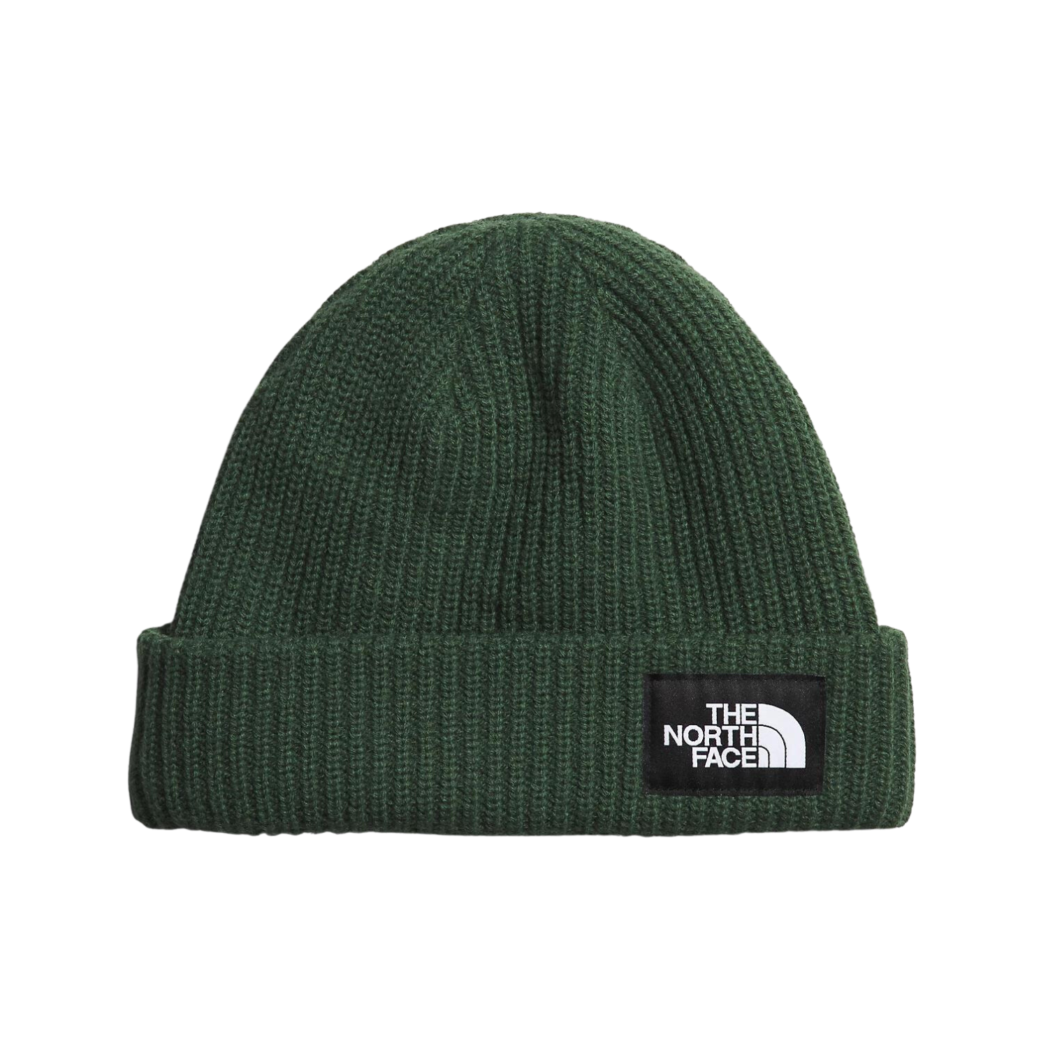 SALTY LINED BEANIE - PINE NEEDLE