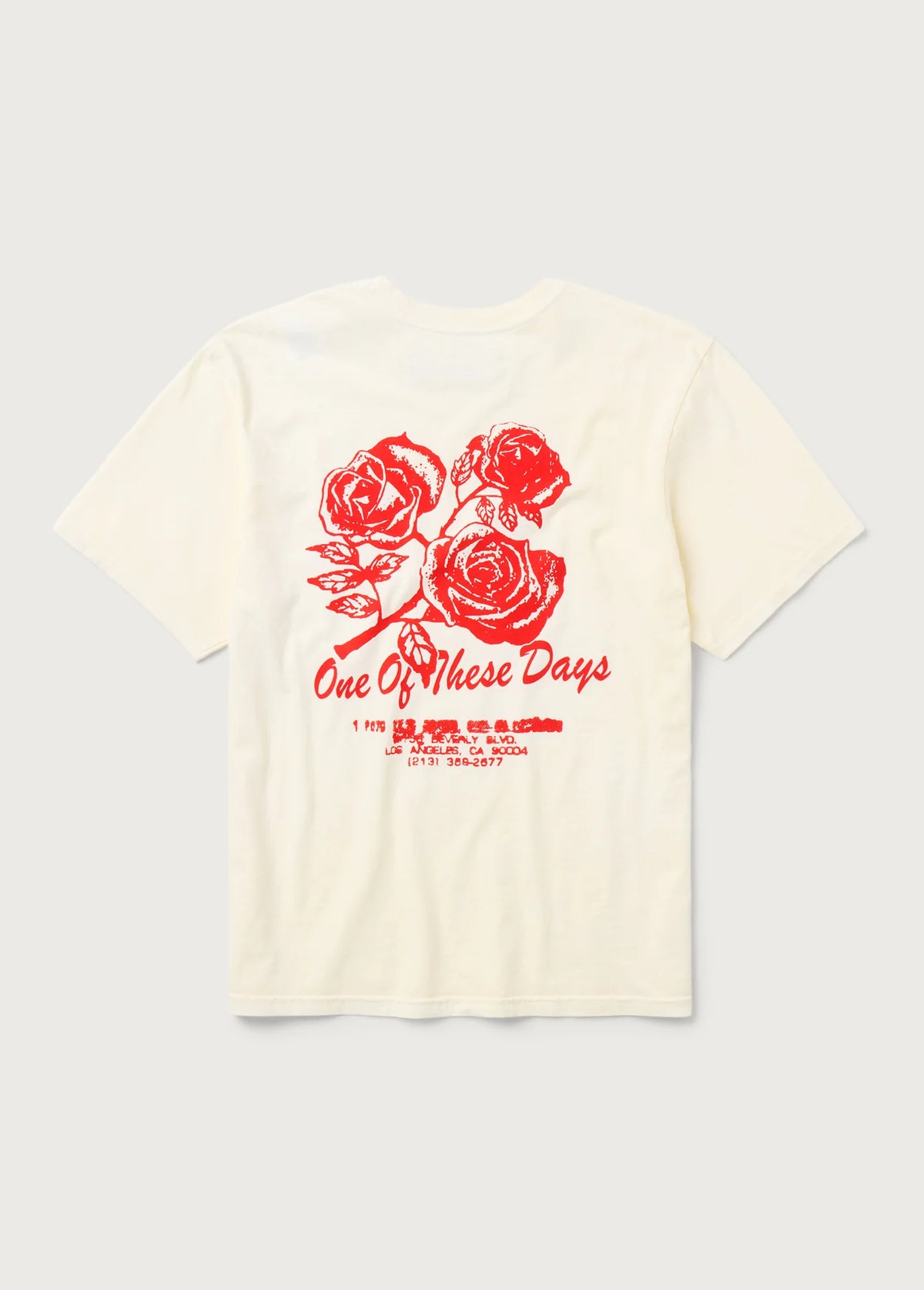 One of These Days Sweet Jane T-Shirt Bone
