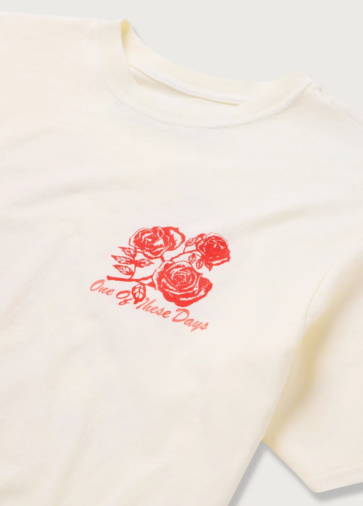 One of These Days Sweet Jane T-Shirt Bone