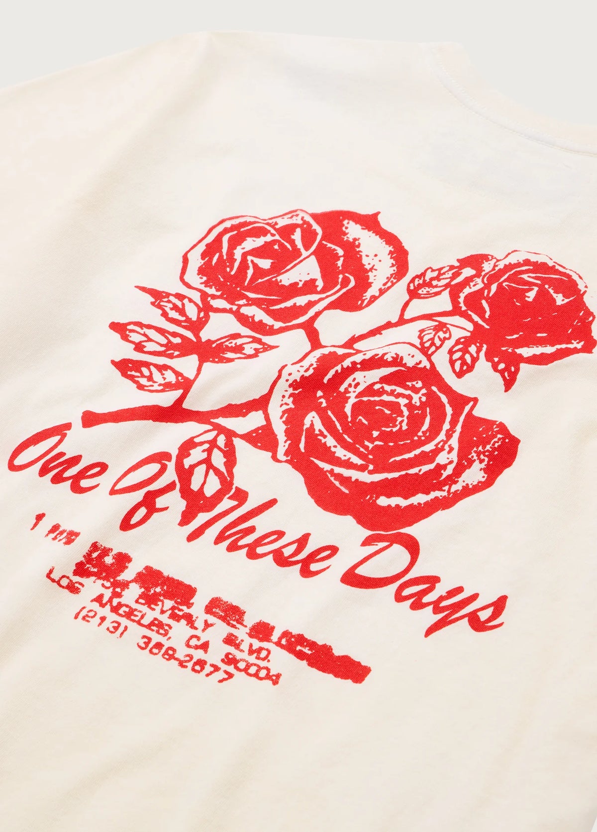 One of These Days Sweet Jane T-Shirt Bone