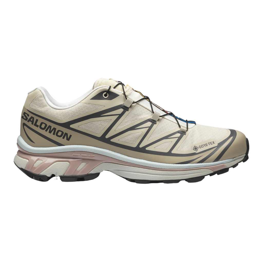 Salomon XT-6 GTX Almond Milk/Feather Grey/Pale Mauve I