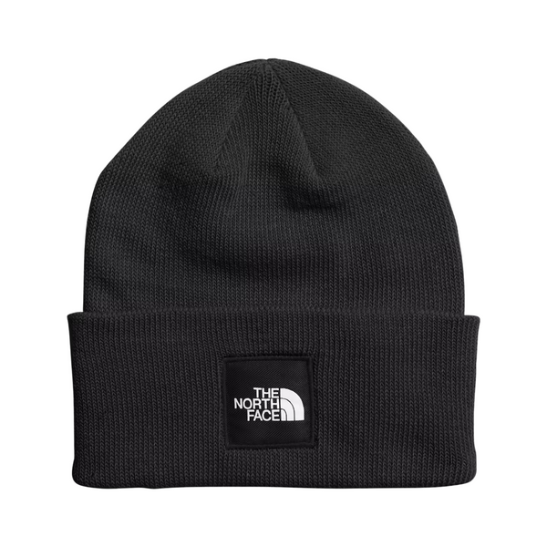 TheNorthFaceBigBoxBeanie-