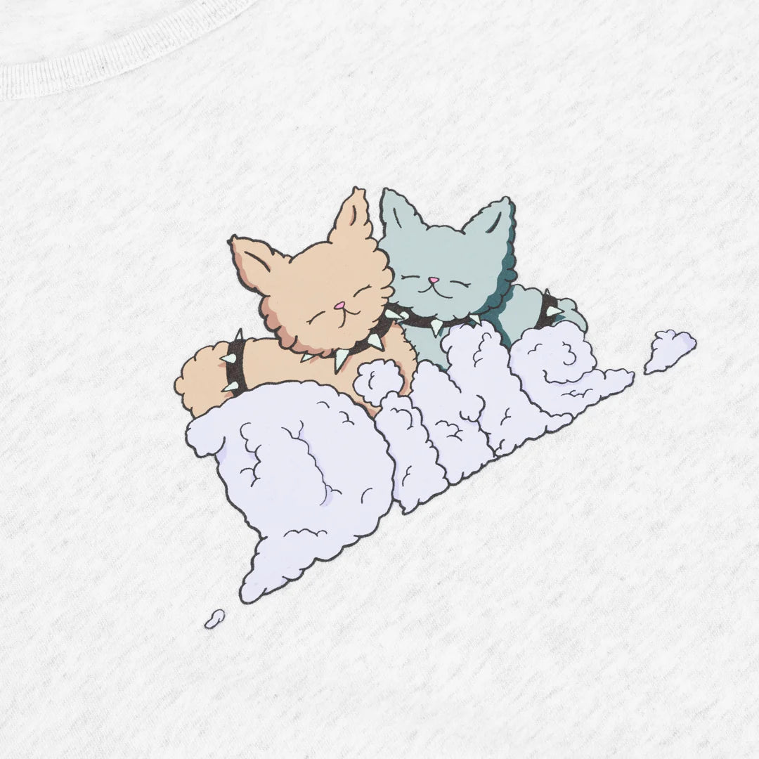 Dime W Fluff T-Shirt Ash
