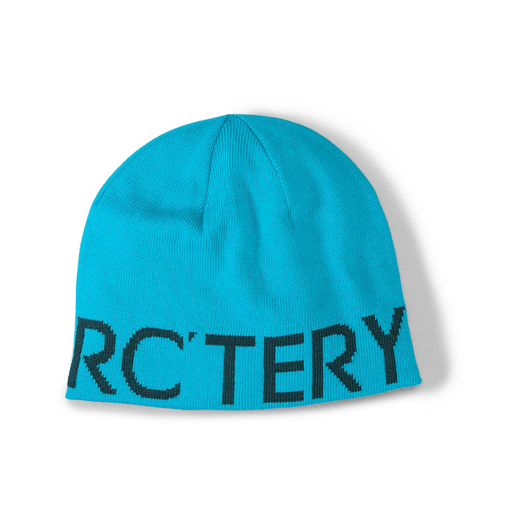 WORD HEAD TOQUE - BLUE TETRA