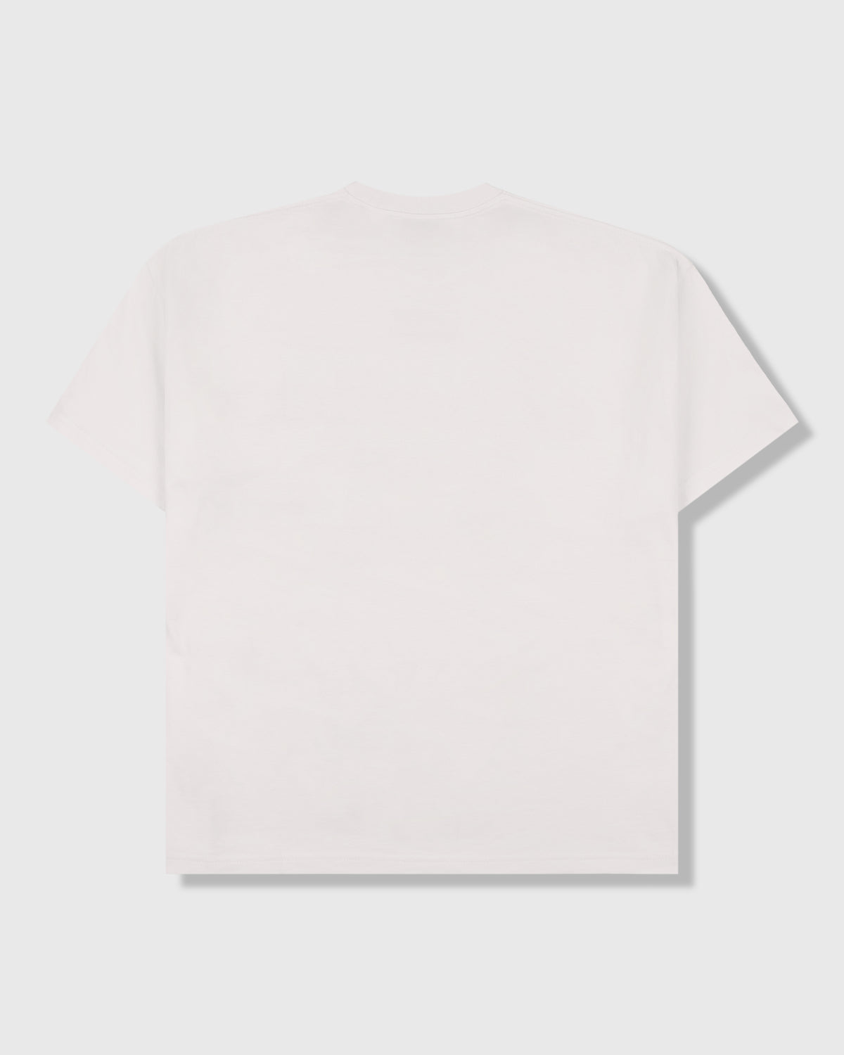 Pleasures Nordique T-Shirt VTG White